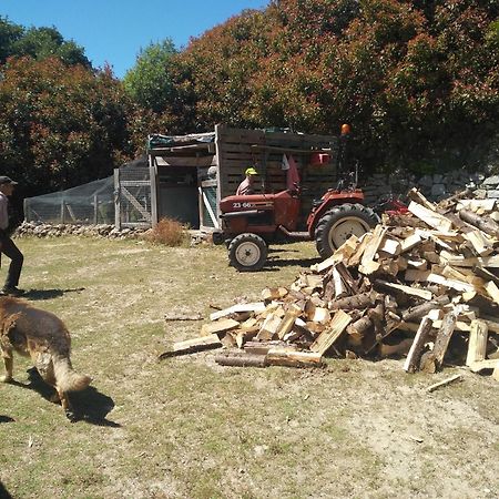 Chale Pouso Da Serra - Casas De Montanha Costilhao Esterno foto