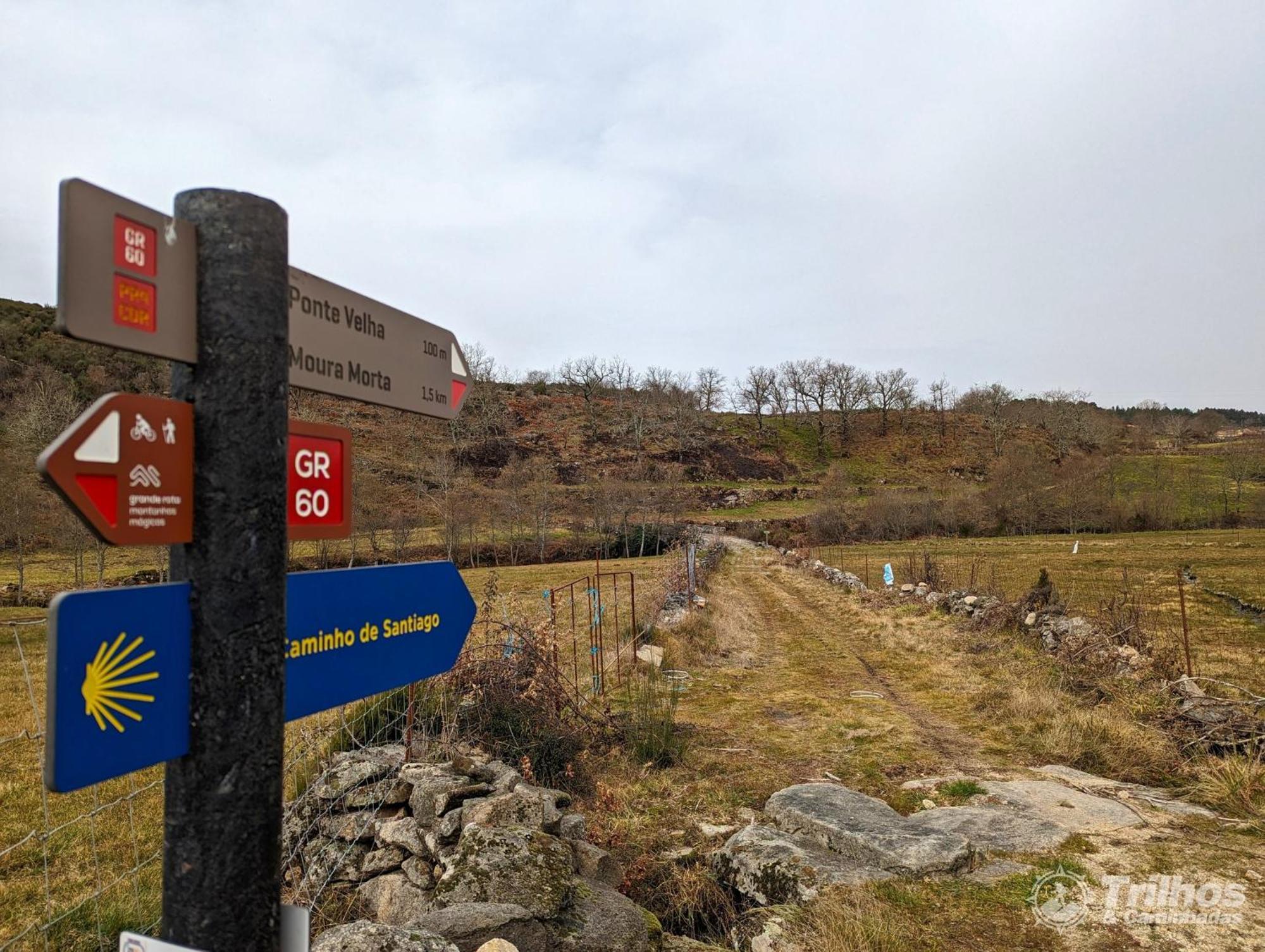 Chale Pouso Da Serra - Casas De Montanha Costilhao Esterno foto